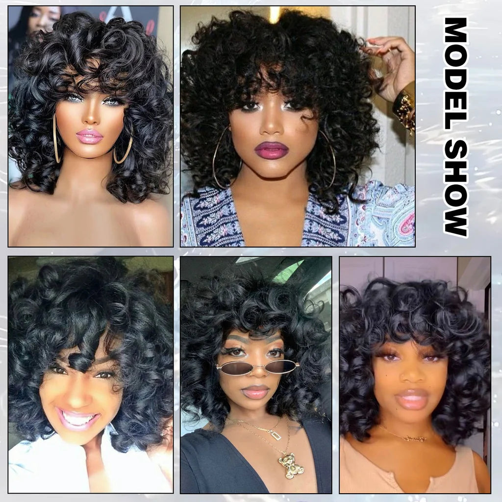 PERRUCIA Perruque Courte Bouclée Sans Lace – 100% Cheveux Humains – Boucles Souples 10 Pouces